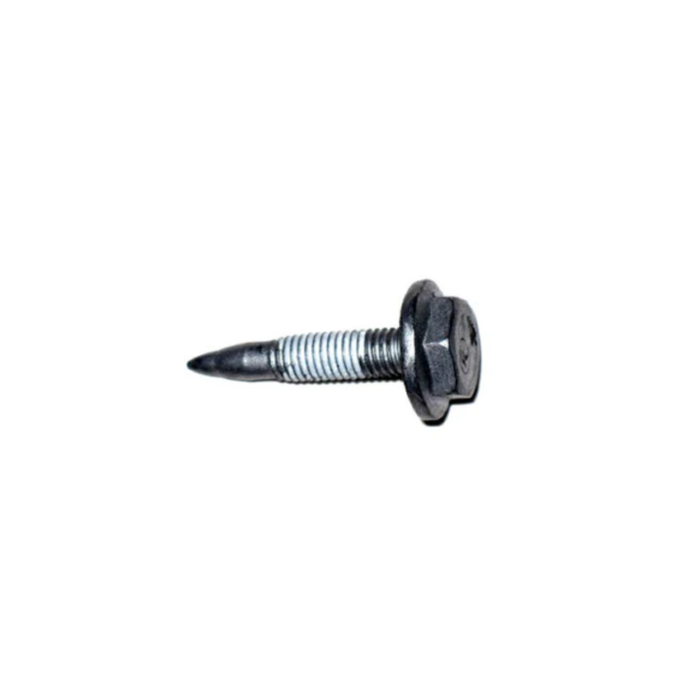 1404 Evergreen (Pack of 24)