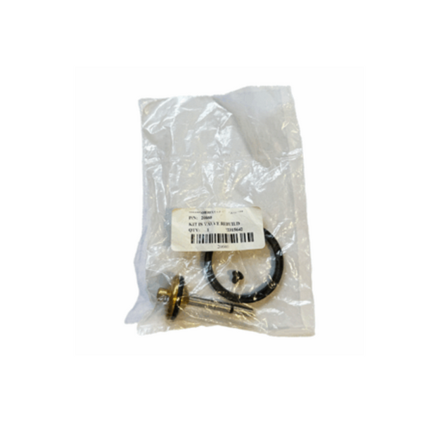 20660 Amerex IS Valve Rebuild Kit