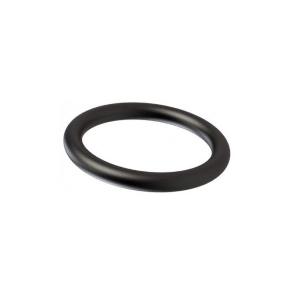 OR29 O-Ring for Amerex and Badger (Pack of 100)